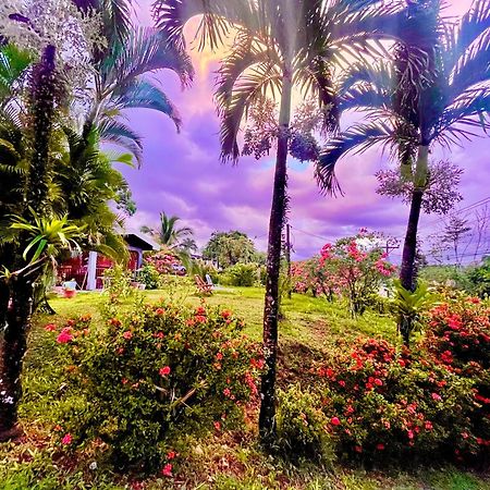Hotel Tierra De Volcanes ラ・フォルトゥナ エクステリア 写真