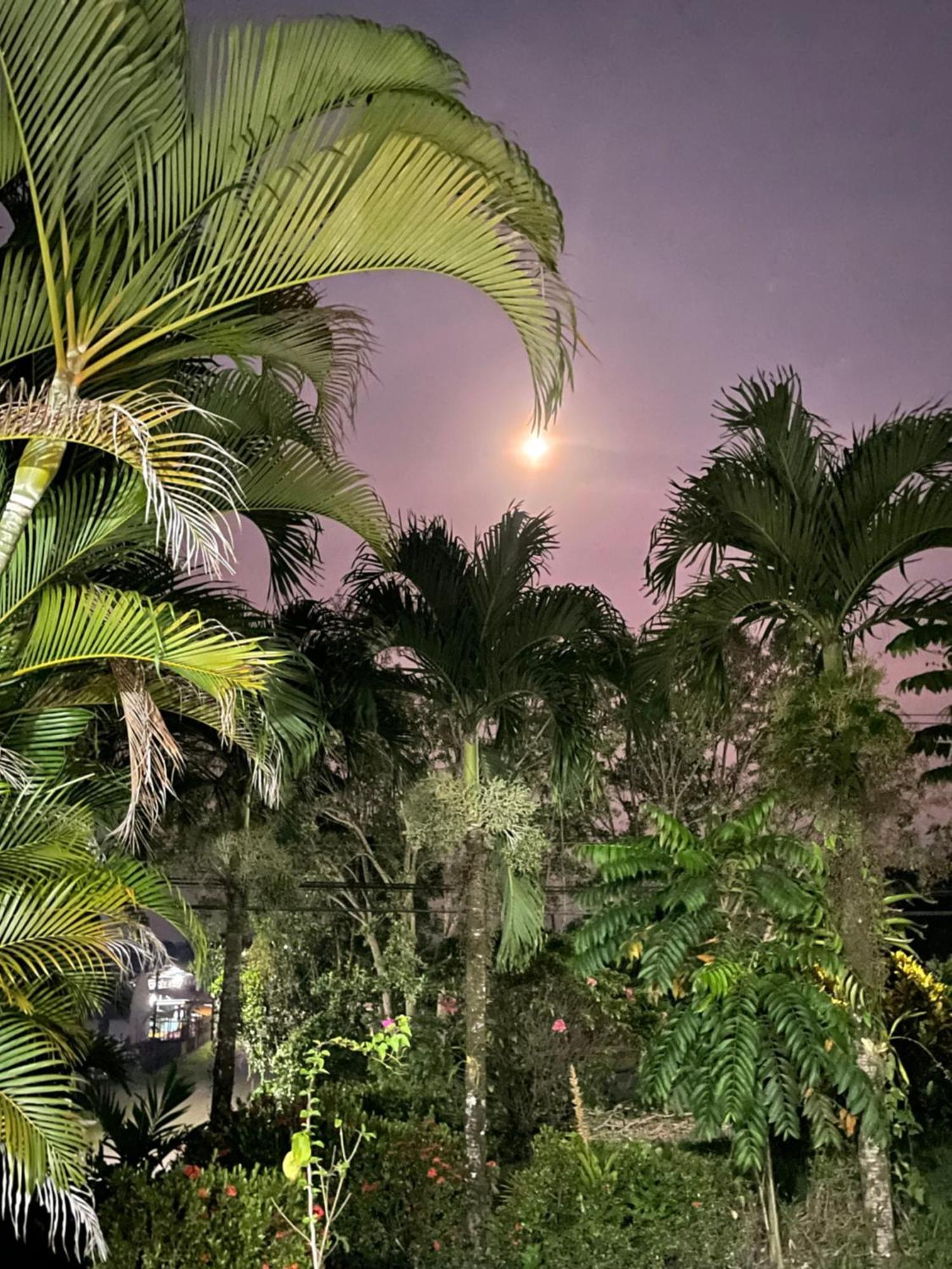 Hotel Tierra De Volcanes ラ・フォルトゥナ エクステリア 写真
